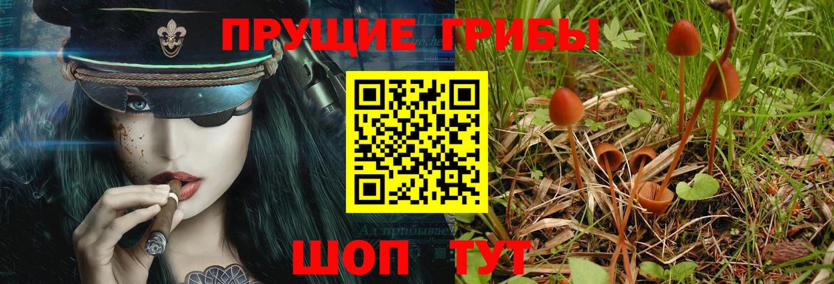 Галлюциногенные грибы GOLDEN TEACHER Стрежевой